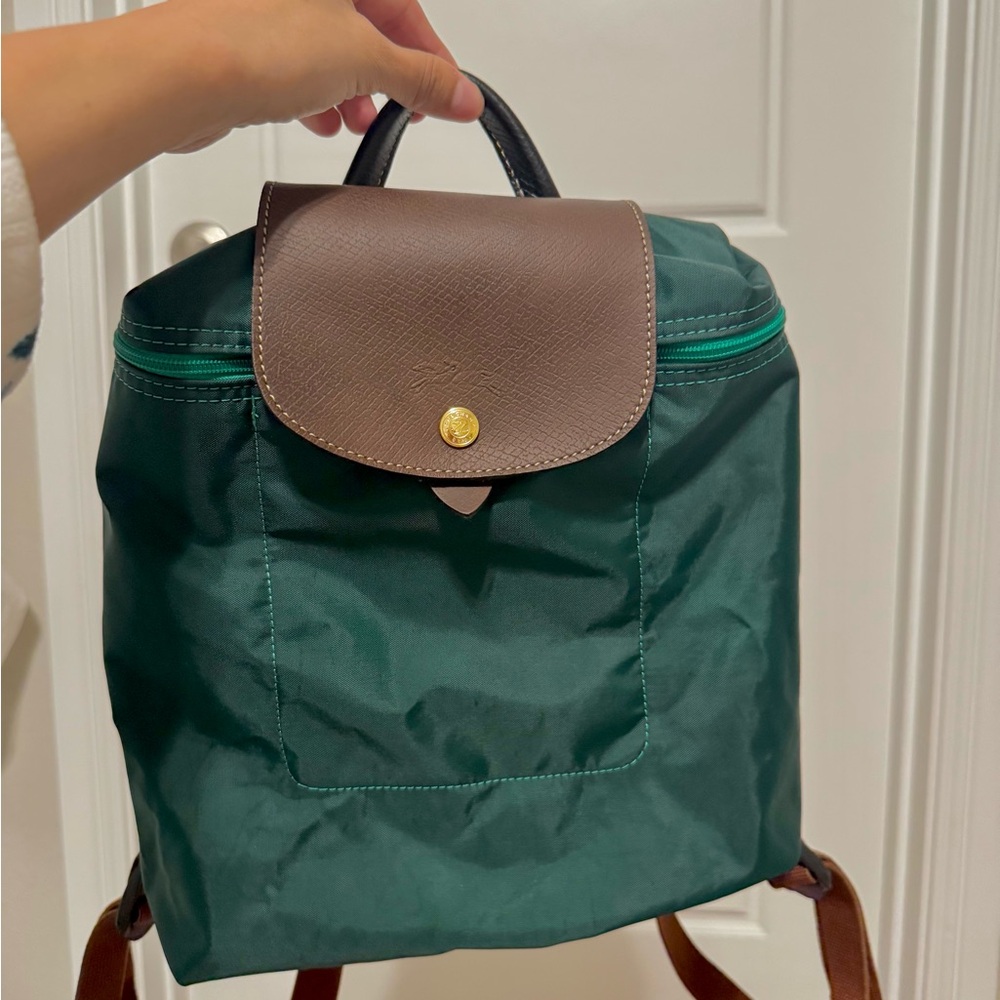 Green and Brown Backpack Longchamp NWOT